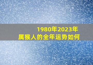 1980年2023年属猴人的全年运势如何