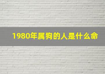 1980年属狗的人是什么命