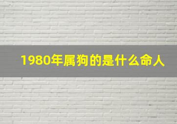 1980年属狗的是什么命人