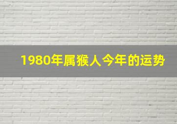 1980年属猴人今年的运势