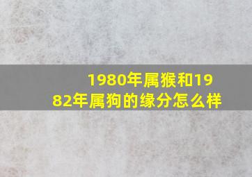 1980年属猴和1982年属狗的缘分怎么样