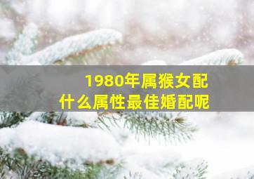 1980年属猴女配什么属性最佳婚配呢