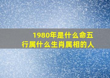 1980年是什么命五行属什么生肖属相的人