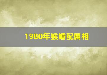 1980年猴婚配属相