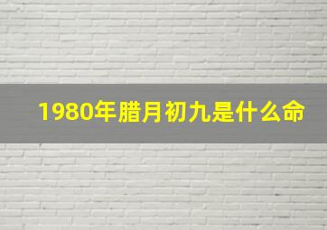 1980年腊月初九是什么命