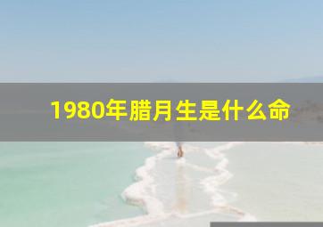 1980年腊月生是什么命