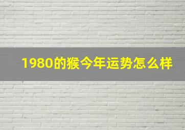 1980的猴今年运势怎么样