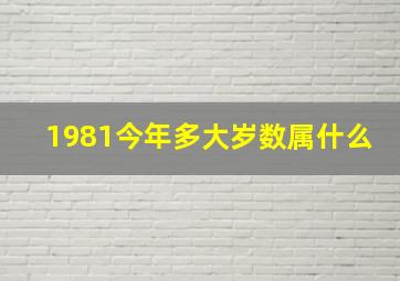 1981今年多大岁数属什么