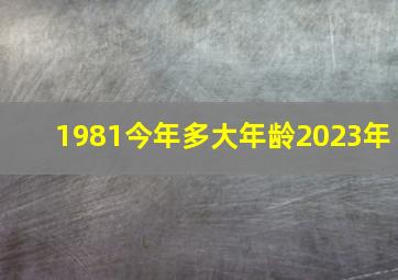 1981今年多大年龄2023年