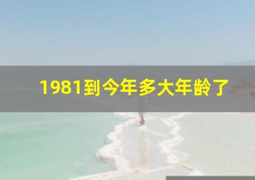 1981到今年多大年龄了