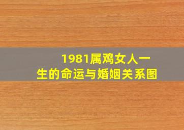 1981属鸡女人一生的命运与婚姻关系图