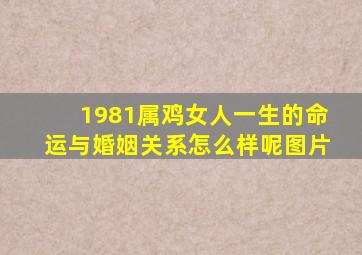 1981属鸡女人一生的命运与婚姻关系怎么样呢图片