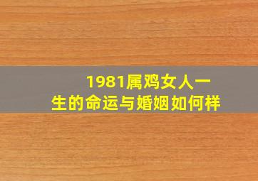 1981属鸡女人一生的命运与婚姻如何样