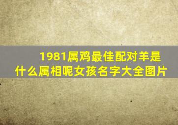 1981属鸡最佳配对羊是什么属相呢女孩名字大全图片