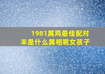 1981属鸡最佳配对羊是什么属相呢女孩子