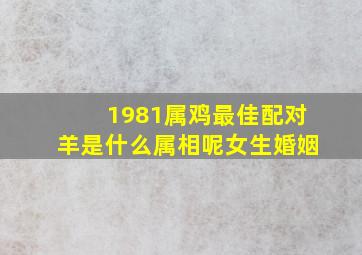 1981属鸡最佳配对羊是什么属相呢女生婚姻