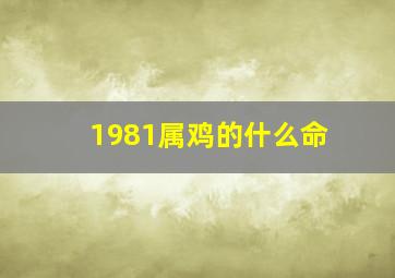 1981属鸡的什么命