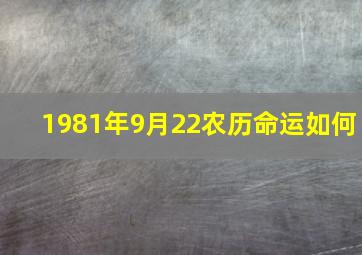 1981年9月22农历命运如何