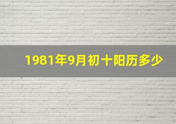 1981年9月初十阳历多少