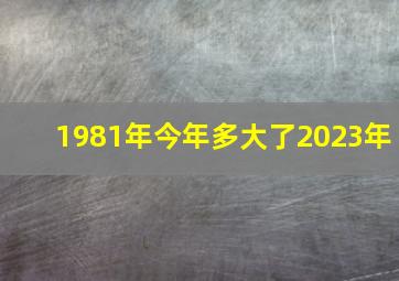 1981年今年多大了2023年