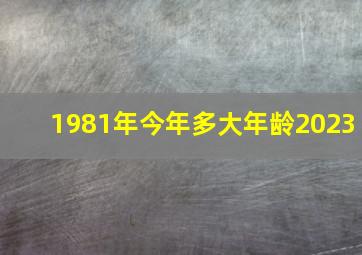 1981年今年多大年龄2023