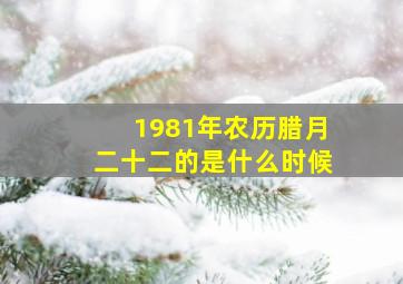 1981年农历腊月二十二的是什么时候