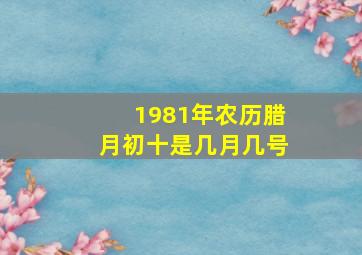 1981年农历腊月初十是几月几号