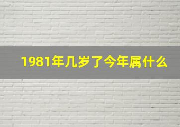 1981年几岁了今年属什么