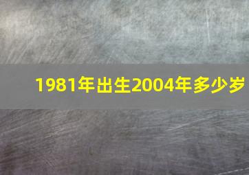 1981年出生2004年多少岁