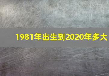 1981年出生到2020年多大