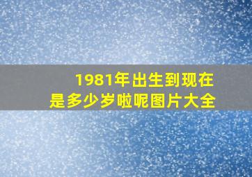 1981年出生到现在是多少岁啦呢图片大全