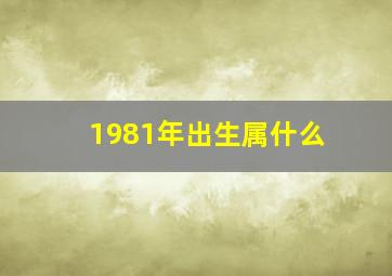 1981年出生属什么