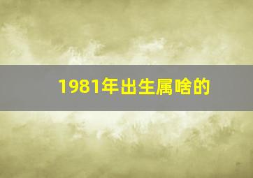 1981年出生属啥的