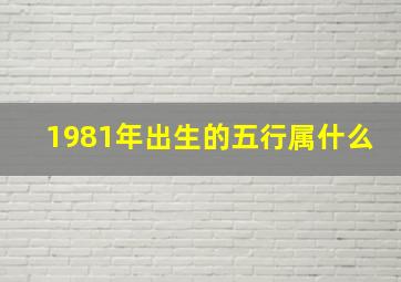 1981年出生的五行属什么