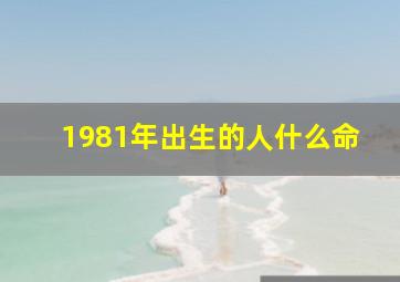 1981年出生的人什么命