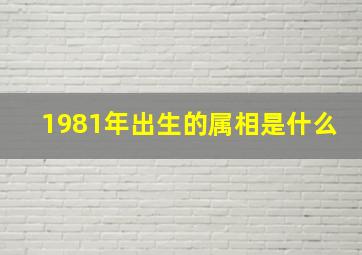 1981年出生的属相是什么