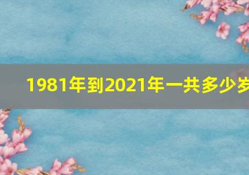 1981年到2021年一共多少岁