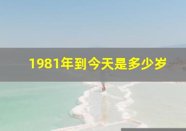 1981年到今天是多少岁