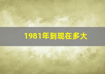 1981年到现在多大