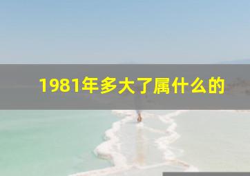 1981年多大了属什么的