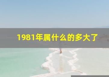 1981年属什么的多大了