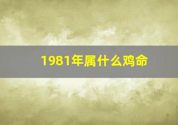 1981年属什么鸡命