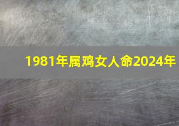 1981年属鸡女人命2024年