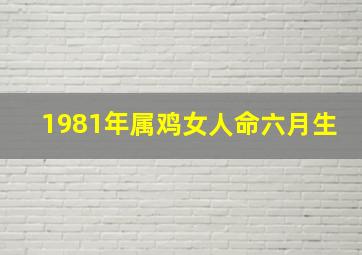 1981年属鸡女人命六月生