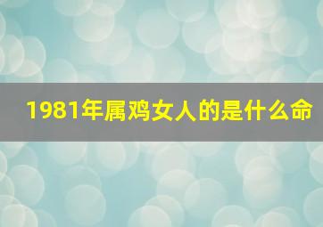 1981年属鸡女人的是什么命