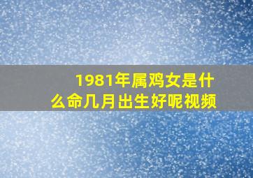 1981年属鸡女是什么命几月出生好呢视频