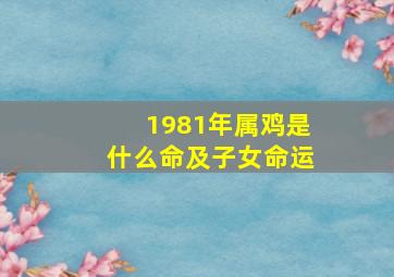 1981年属鸡是什么命及子女命运