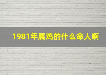 1981年属鸡的什么命人啊