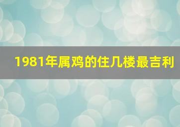 1981年属鸡的住几楼最吉利