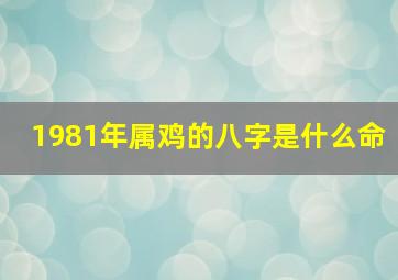 1981年属鸡的八字是什么命